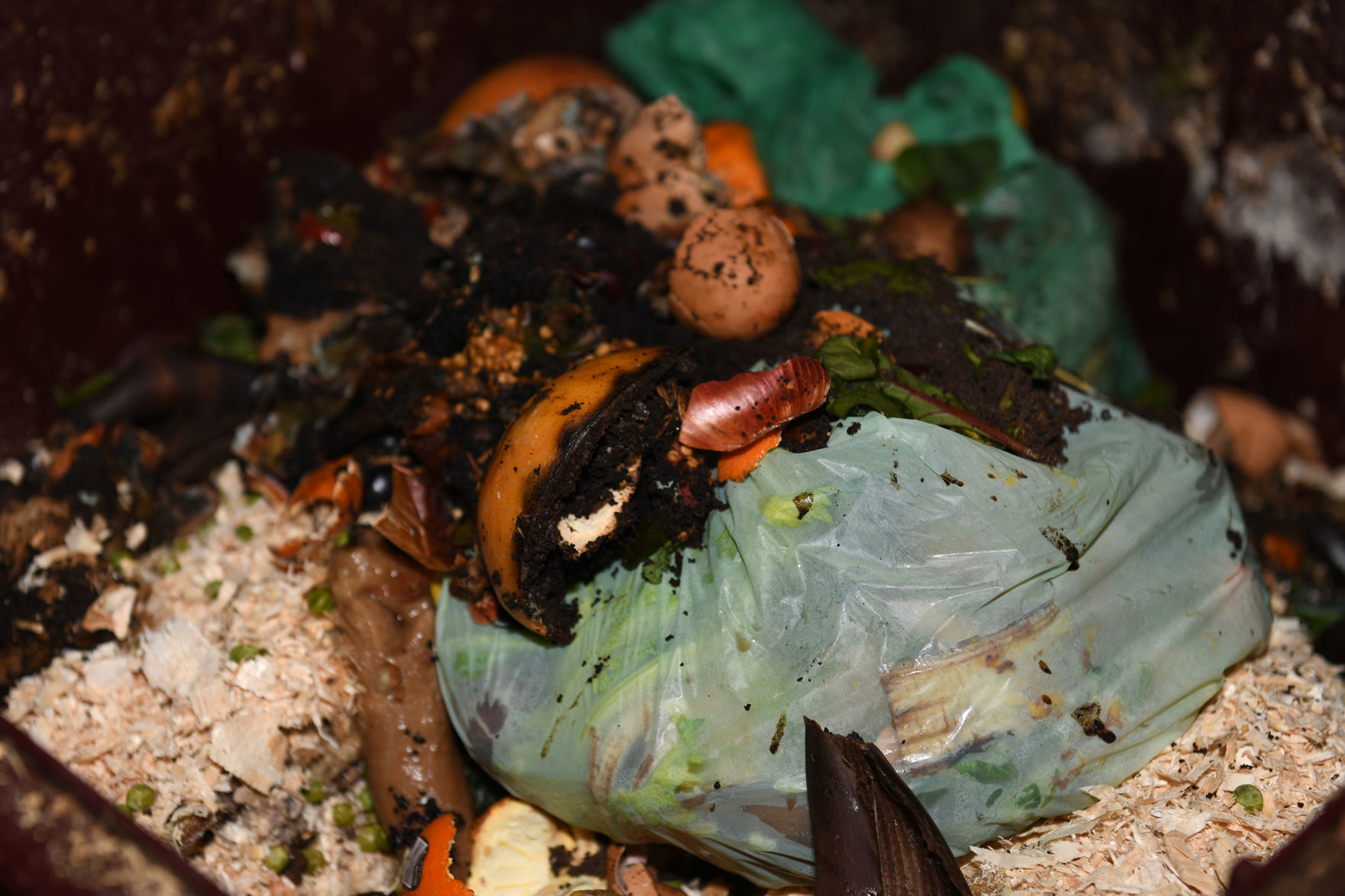 Compost
